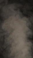 langzaam beweging verticaal video van wit rook, mist, de nevel, damp Aan een zwart achtergrond.