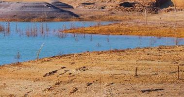 Low levels of water in the reservoir. Dry climate. Shortage of water. Dead trees. Climate change and global warming. There is no planet B. Urgent action to save the world. Environment. video