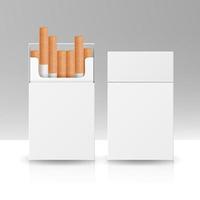 paquete en blanco paquete caja de cigarrillos vector