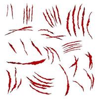 Claws Scratches Vector. Isolated On White Background. Bear Or Tiger Paw Claw Scratch Bloody. Shredded Paper vector