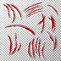 Claws Scratches Vector. Claw Scratch Mark vector