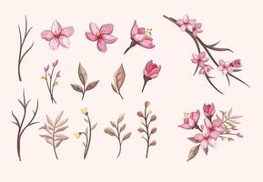 beauty pink sakura cherry blossom flower asian japan culture garden with leaves and bud vector