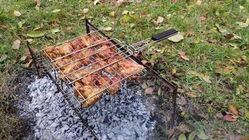 Delicious chicken wings are fried on a grid for grill on campfire - picnic in the garden or forest. Grilled chickens meat pieces are cooked over a fire. Cooking tasty food outdoors - BBQ in nature. video