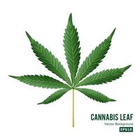 Cannabis Icon Vector. Medical Green Plant Illustration Isolated On White Background. Graphic Design Element For Printables, Web, Prints, T-shirt. vector
