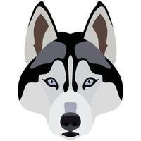 Husky face. Vector portrait of a dog head isolated on white background.