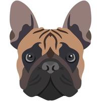 The face of a french bulldog. Vector portrait of a dog head isolated on white background.