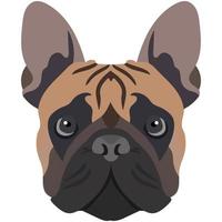 la cara de un bulldog francés. retrato vectorial de una cabeza de perro aislada en fondo blanco. vector