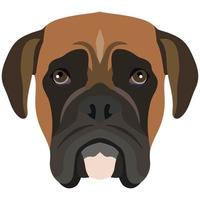 The face of a Boxer dog. Vector portrait of a dog head isolated on white background.