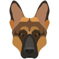 The face of a German Shepherd. Vector portrait of a dog head isolated on white background.