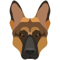 la cara de un pastor alemán. retrato vectorial de una cabeza de perro aislada en fondo blanco. vector