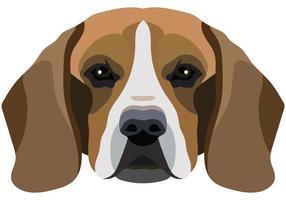 Beagle face. Vector portrait of a dog head isolated on white background.