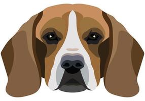 cara de sabueso retrato vectorial de una cabeza de perro aislada en fondo blanco. vector