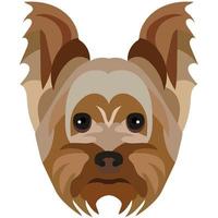 The face of a Yorkshire terrier. Vector portrait of a dog head isolated on white background.