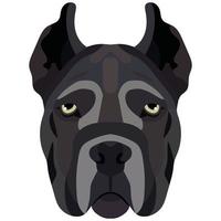 Cane Corso face. Vector portrait of a dog head isolated on white background.