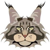 Maine Coon cat face. Vector portrait of a cat's head on a white background. The muzzle of an animal of the feline genus.