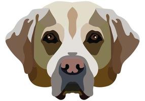 The face of a Labrador. Vector portrait of a dog head isolated on white background.