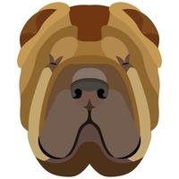 Sharpei face. Vector portrait of a dog head isolated on white background.