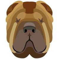 cara de sharpei. retrato vectorial de una cabeza de perro aislada en fondo blanco. vector