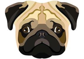 Pug face. Vector portrait of a dog head isolated on white background.
