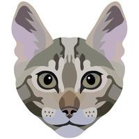 The face of a cat. Vector portrait of a cat's head on a white background. The muzzle of an animal of the feline genus.