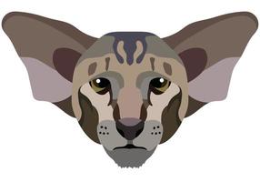 The face of an Oriental cat. Vector portrait of a cat's head on a white background. The muzzle of an animal of the feline genus.