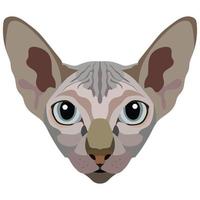The face of the Sphinx cat. Vector portrait of a cat's head on a white background. The muzzle of an animal of the feline genus.