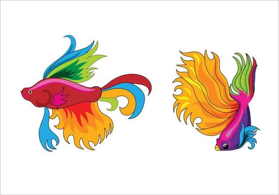 2 Betta Fish vector illustration