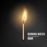 Realistic Burning Match Vector