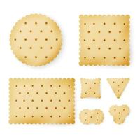 Cracker In Different Shapes. Yellow Cookie Vector. vector