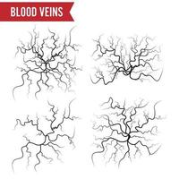 Human Blood Veins Vector. Blood Arteries Isolated On White. Set Of Blood Veins. Image Of Health Red Veins Illustration. vector