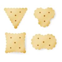 Cracker In Different Shapes. Yellow Cookie Vector. vector