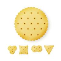 Cracker In Different Shapes. Yellow Cookie Vector. vector