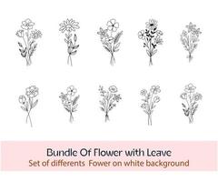 Collection of Black in white Editable Spring Flowers. Set of floral branch. Isolated on white for greeting cards, Easter, thanksgiving, wedding projects, Patterns. Spring set, hand drawn elements.