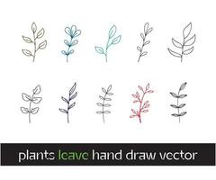 spring colorful flowers. Set of floral branch, Nature vintage flowers with leaf and pallets graphics on wild and Garden botanical Flowers for any projects  wedding, Birthday, anniversary vector