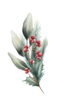 Watercolor Christmas flowers png