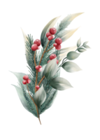 acuarela flores de navidad png