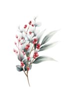 acuarela flores de navidad png