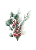 Watercolor Christmas flowers png