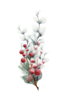 Watercolor Christmas flowers png