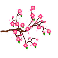 fondo de flor de primavera con ciruela o flor de cerezo png