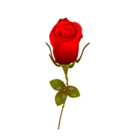 ensemble réaliste de fleurs roses rouges avec différentes couleurs et formes isolées png