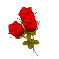 red  rose flowers realistic set with different colors and shapes isolated png