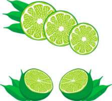 Sweet juicy tasty natural eco product lime png