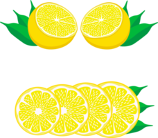 ljuv saftig gott naturlig eco produkt citron- png