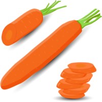 dolce succoso gustoso naturale eco Prodotto carota png