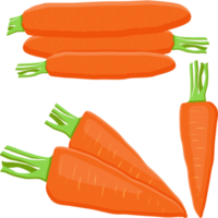 dulce jugoso sabroso natural eco producto zanahoria