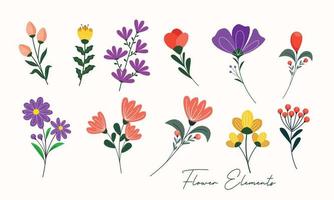 Collection floral design. Spring flower collection vector