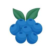 Berry fruit icon. Berry fruit vector