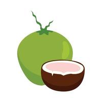 Coconut fruit icon. Coconut fruit vector