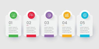 Five steps modern infographic template vector